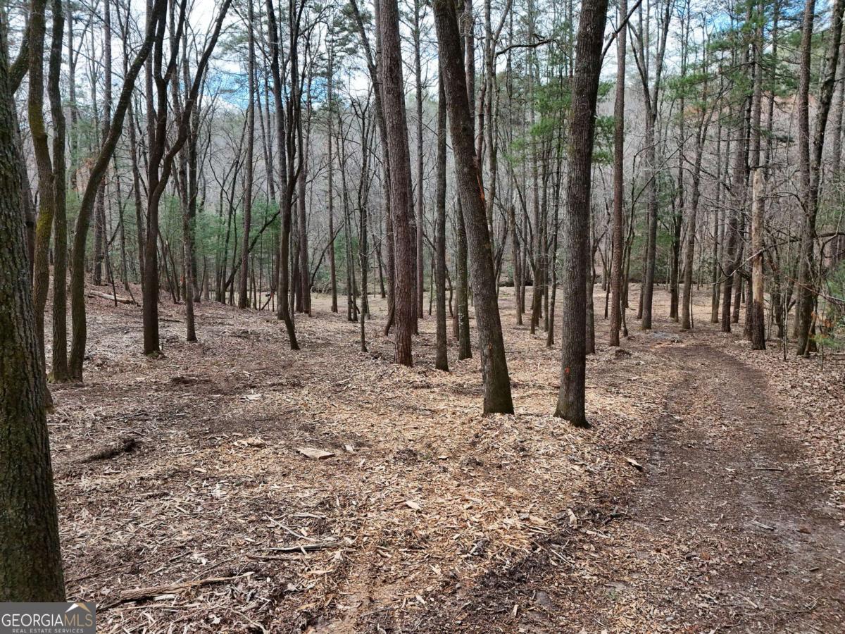 Lot 45b Synacia Drive Property Photo 23