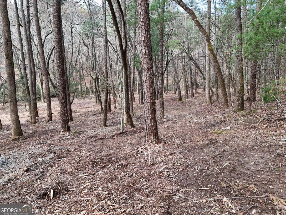 Lot 45b Synacia Drive Property Photo 24