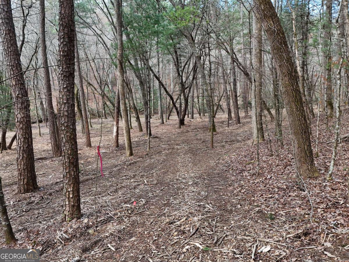Lot 45b Synacia Drive Property Photo 25