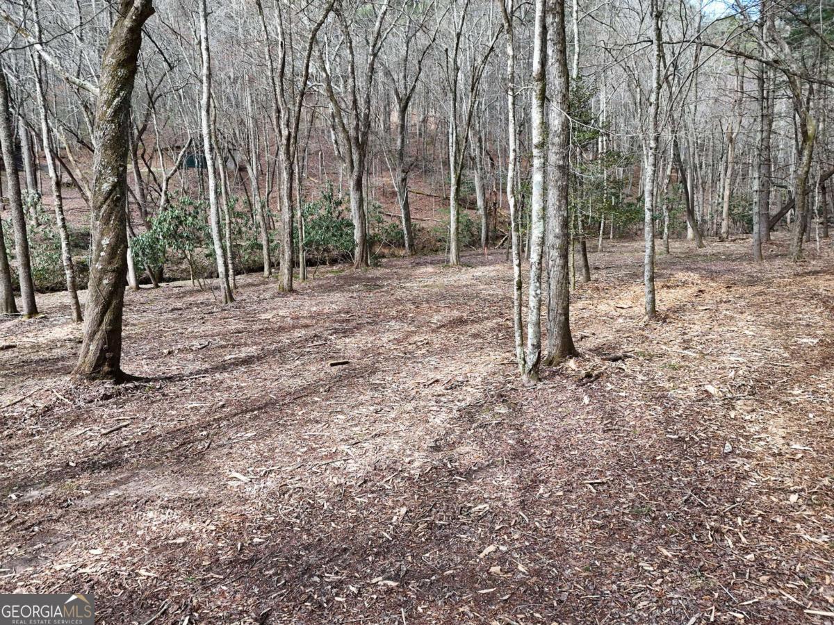 Lot 45b Synacia Drive Property Photo 26