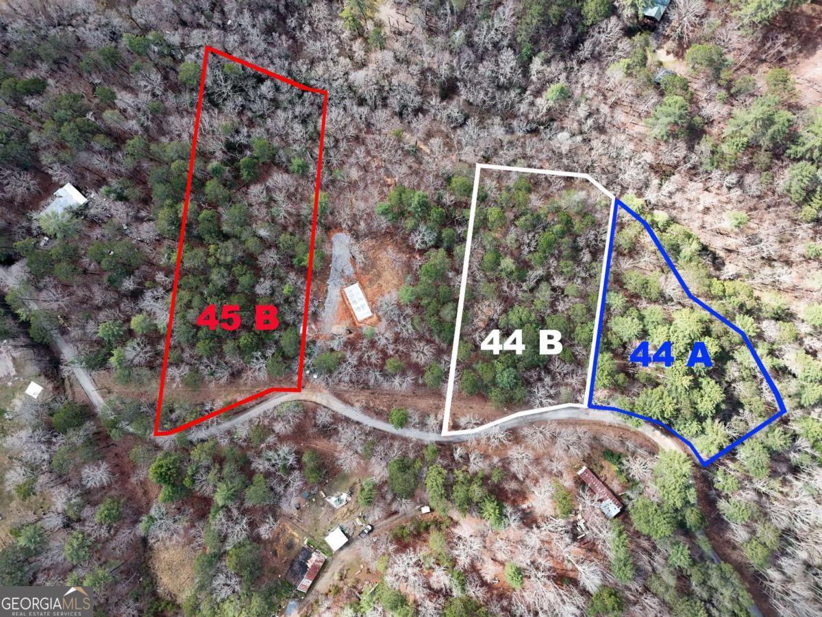 Lot 45b Synacia Drive Property Photo 28