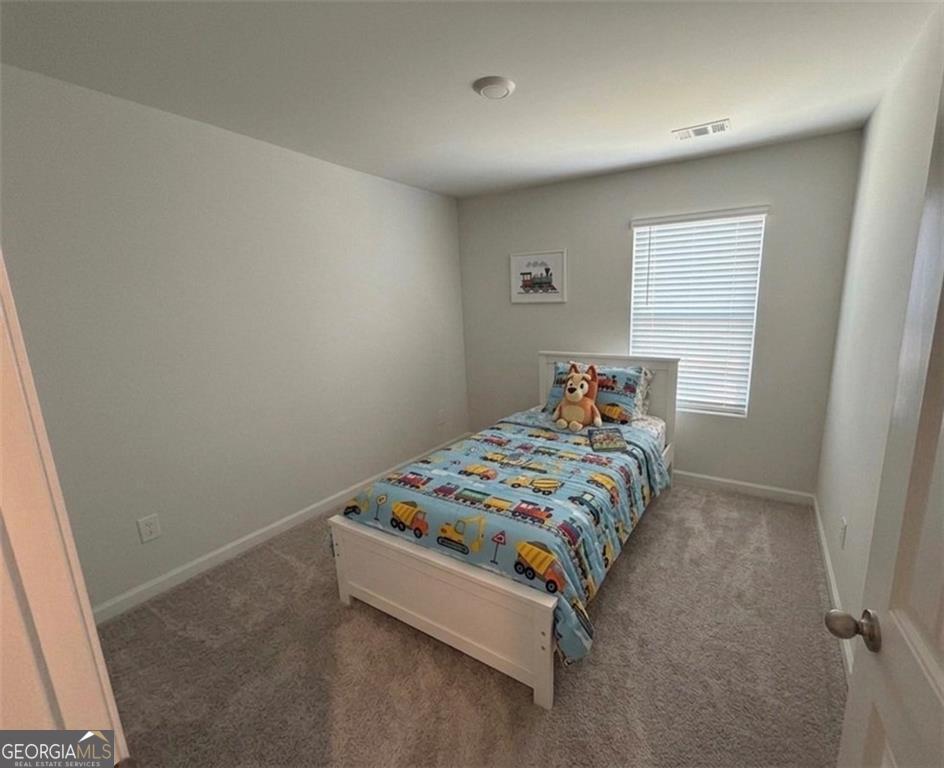 2312 Blue Monarch Drive Property Photo 22
