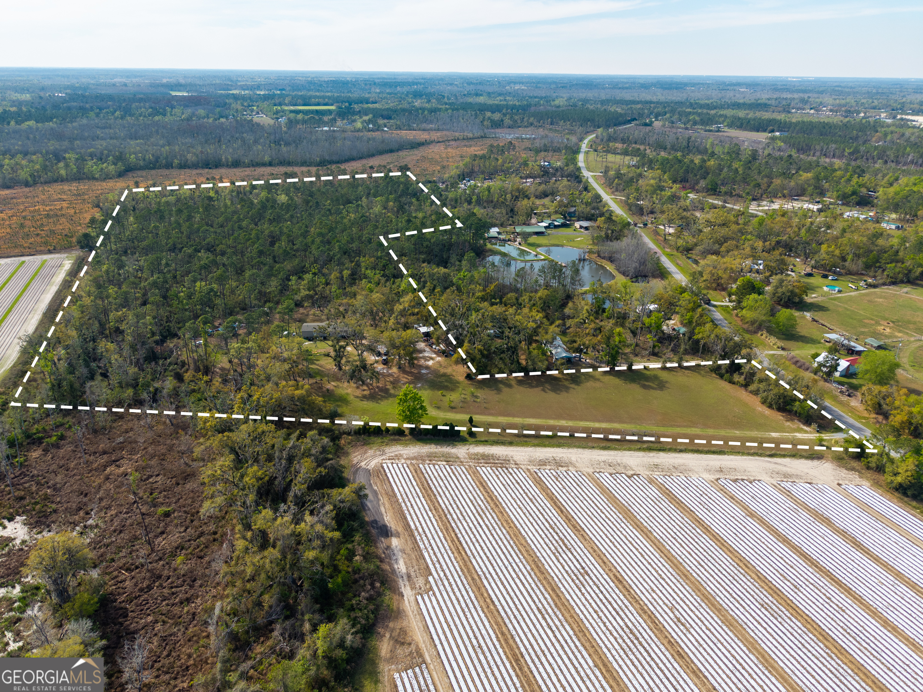 5536 N Hickory Grove Road Property Photo 1