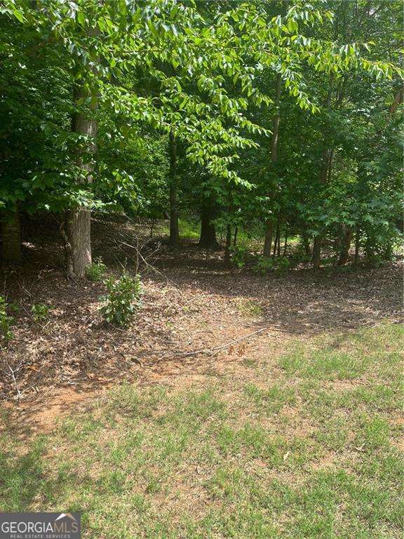 1894 Point River Drive Property Photo 4