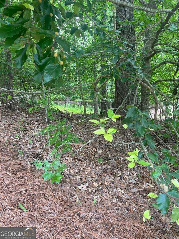 1894 Point River Drive Property Photo 5