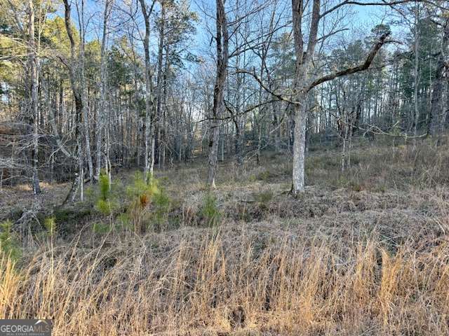 0 River Ridge Trail # 396 Property Photo 1