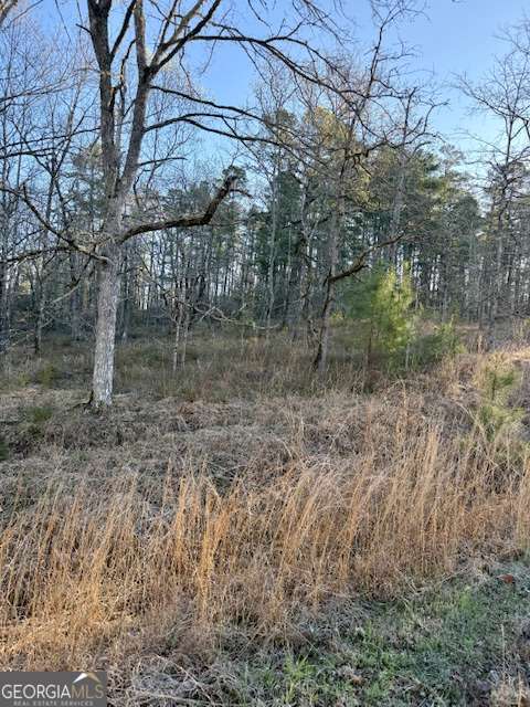 0 River Ridge Trail # 396 Property Photo 3