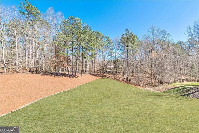 13037 Overlook Pass Property Photo 24