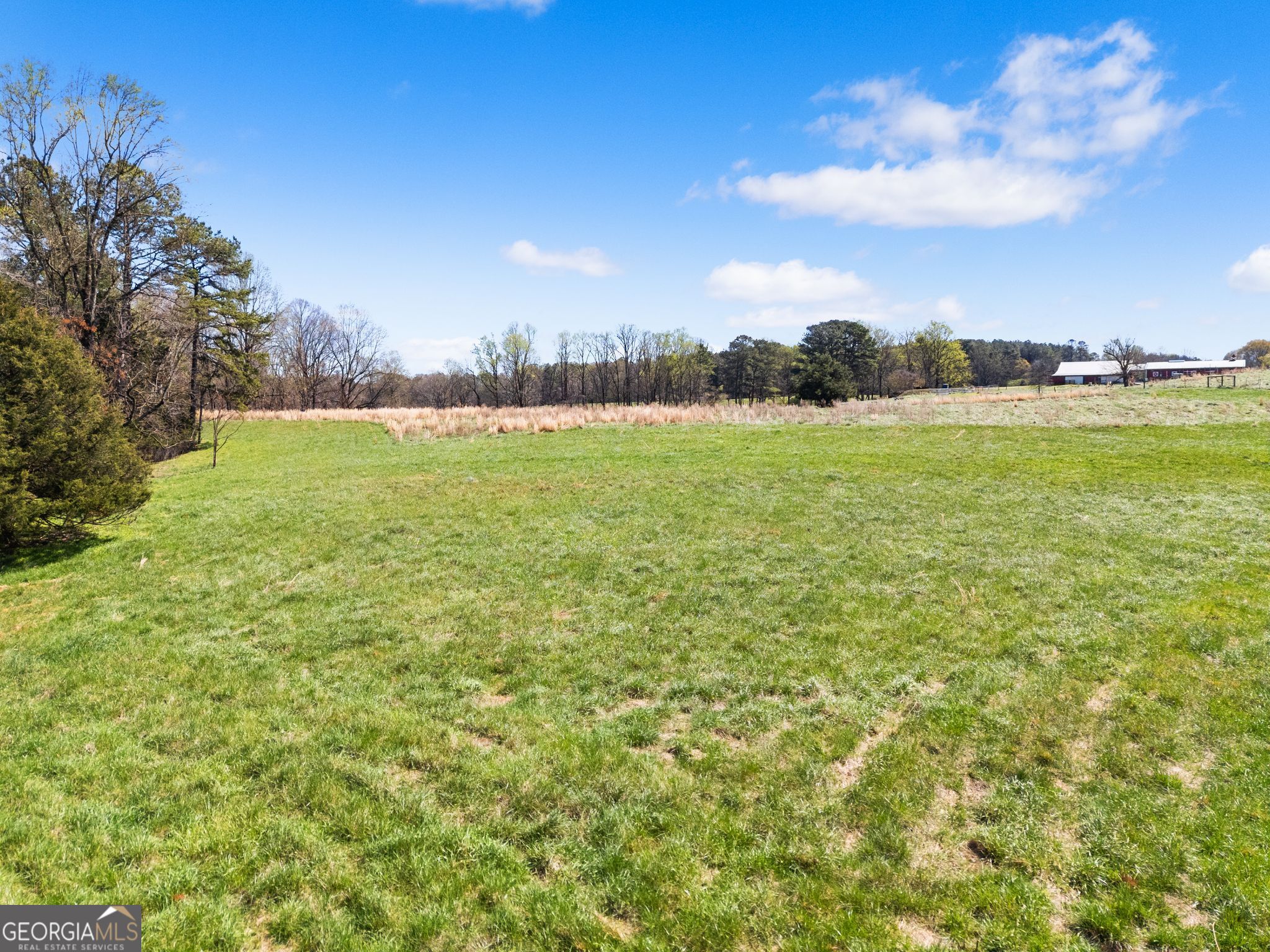 1646 Mitchell Road Property Photo 12