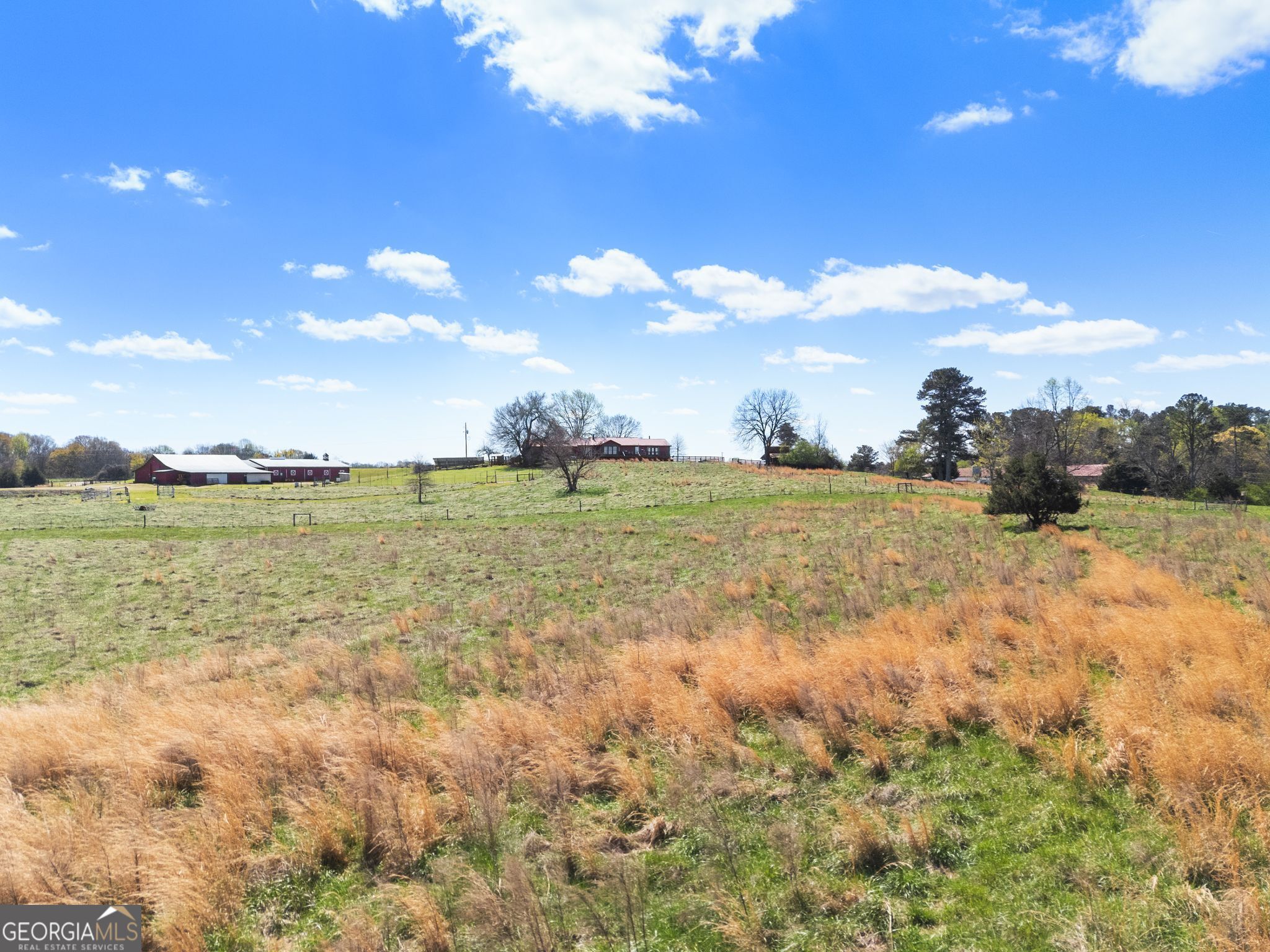 1646 Mitchell Road Property Photo 13