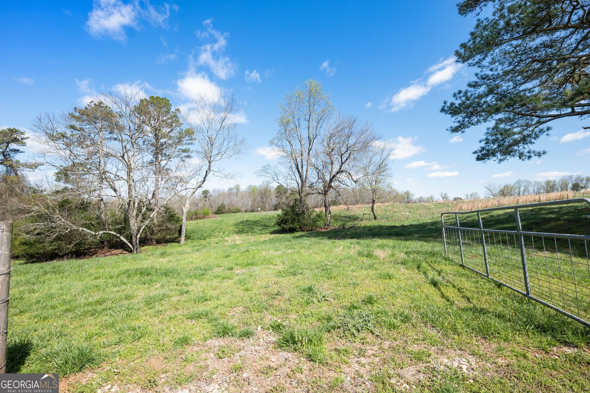 1646 Mitchell Road Property Photo 54