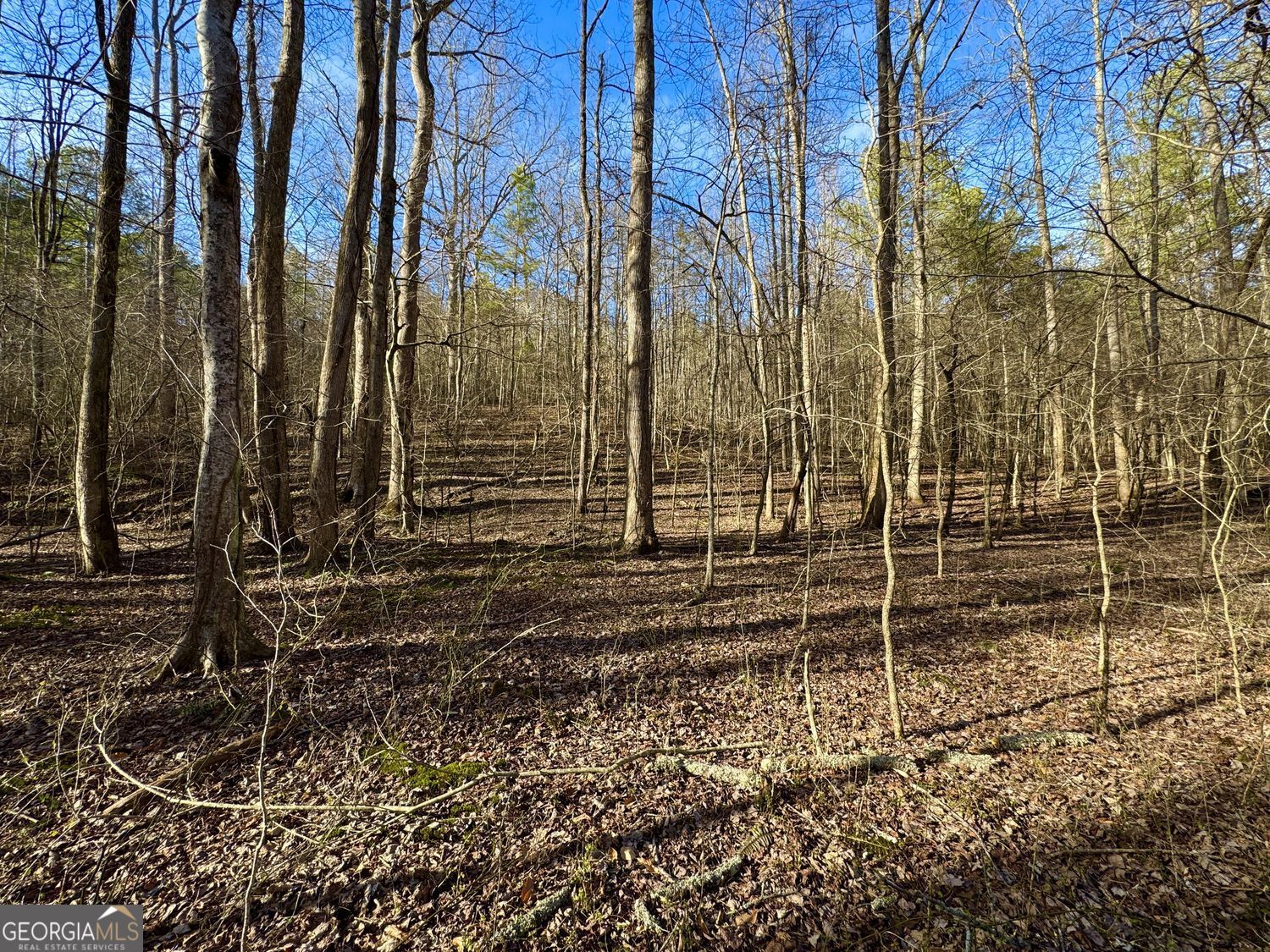 #9 #5 Bethany Road Property Photo 10
