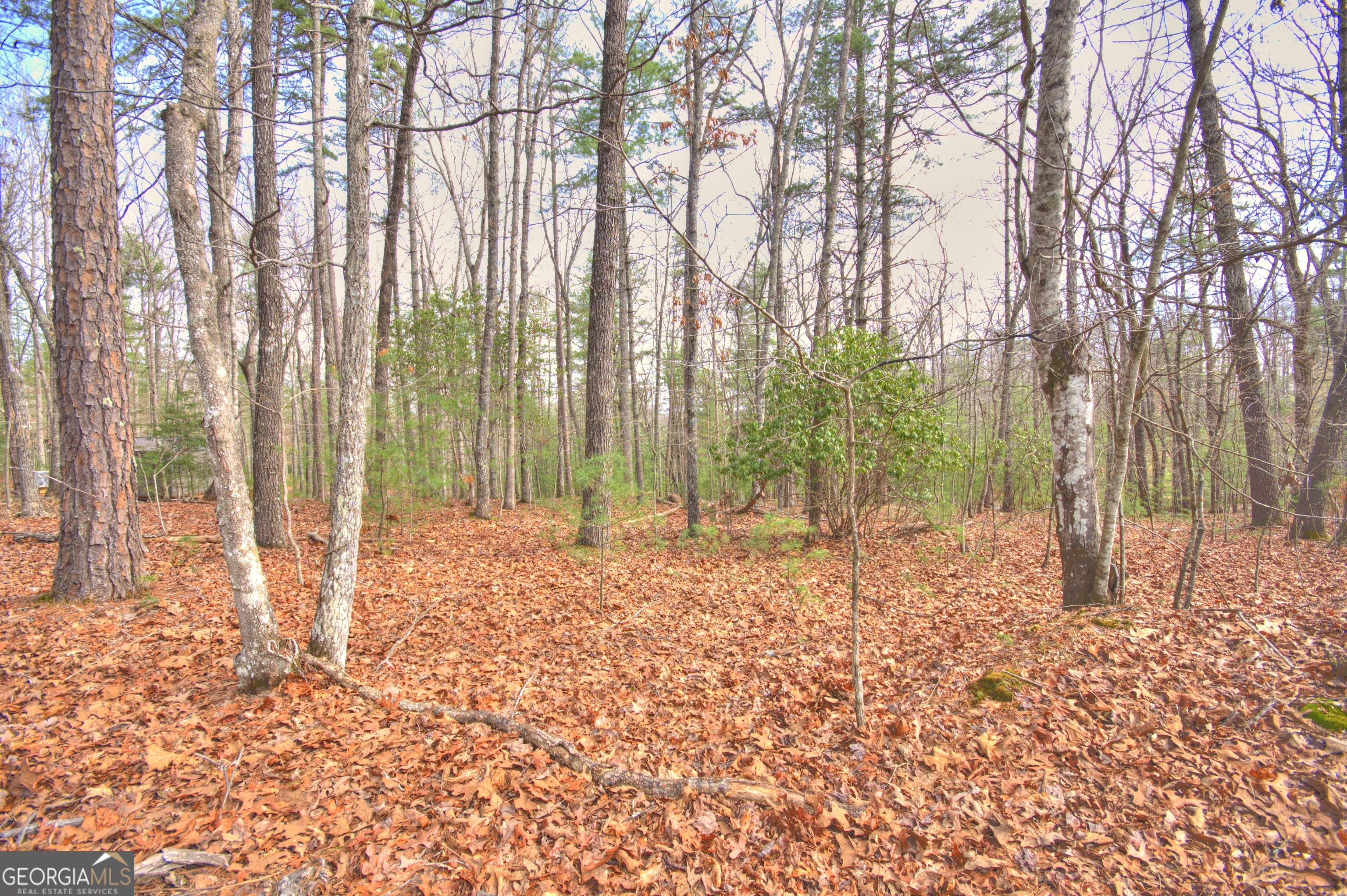 Lot 12 Deer Forest Property Photo 2