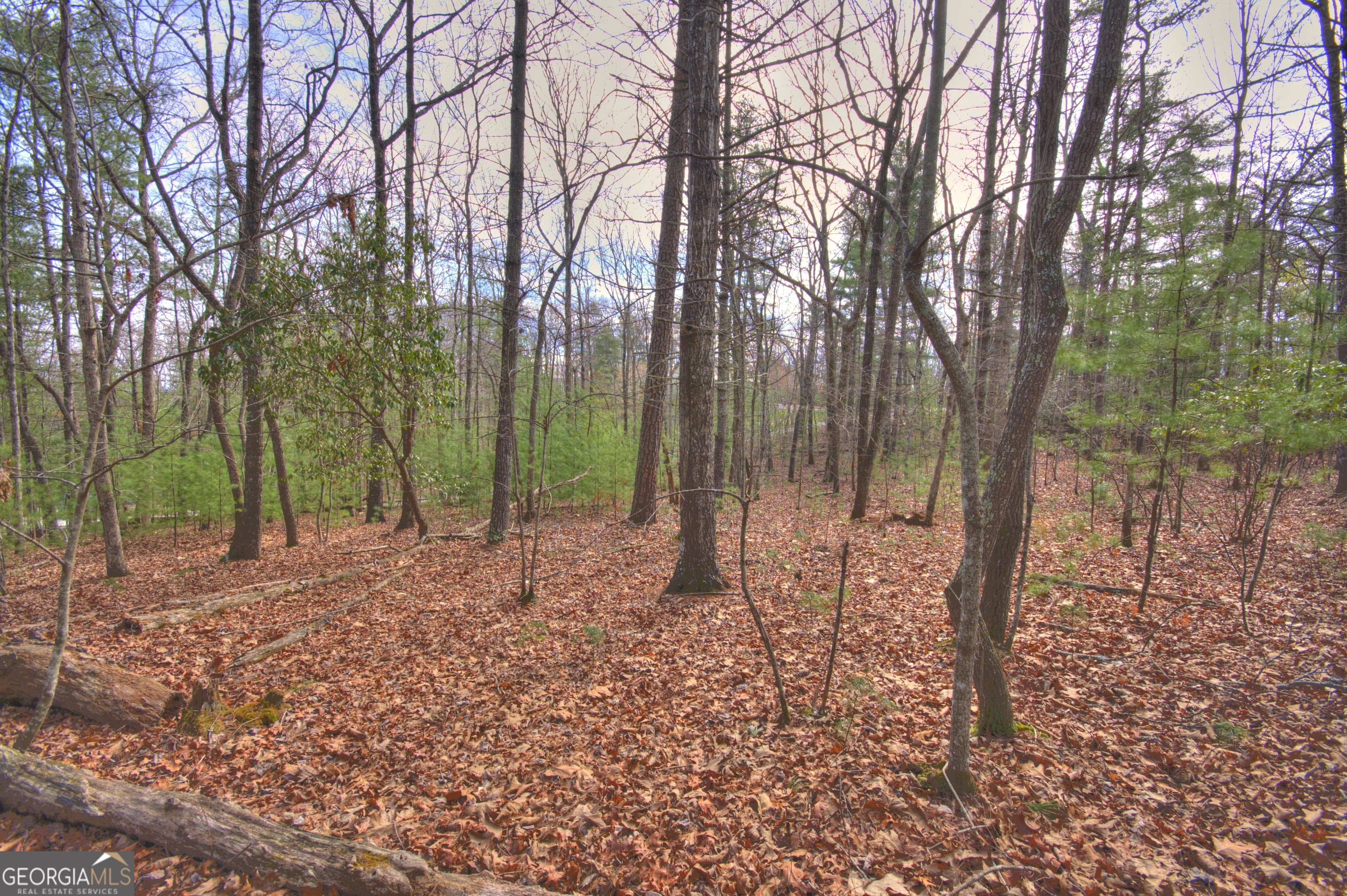 Lot 12 Deer Forest Property Photo 3
