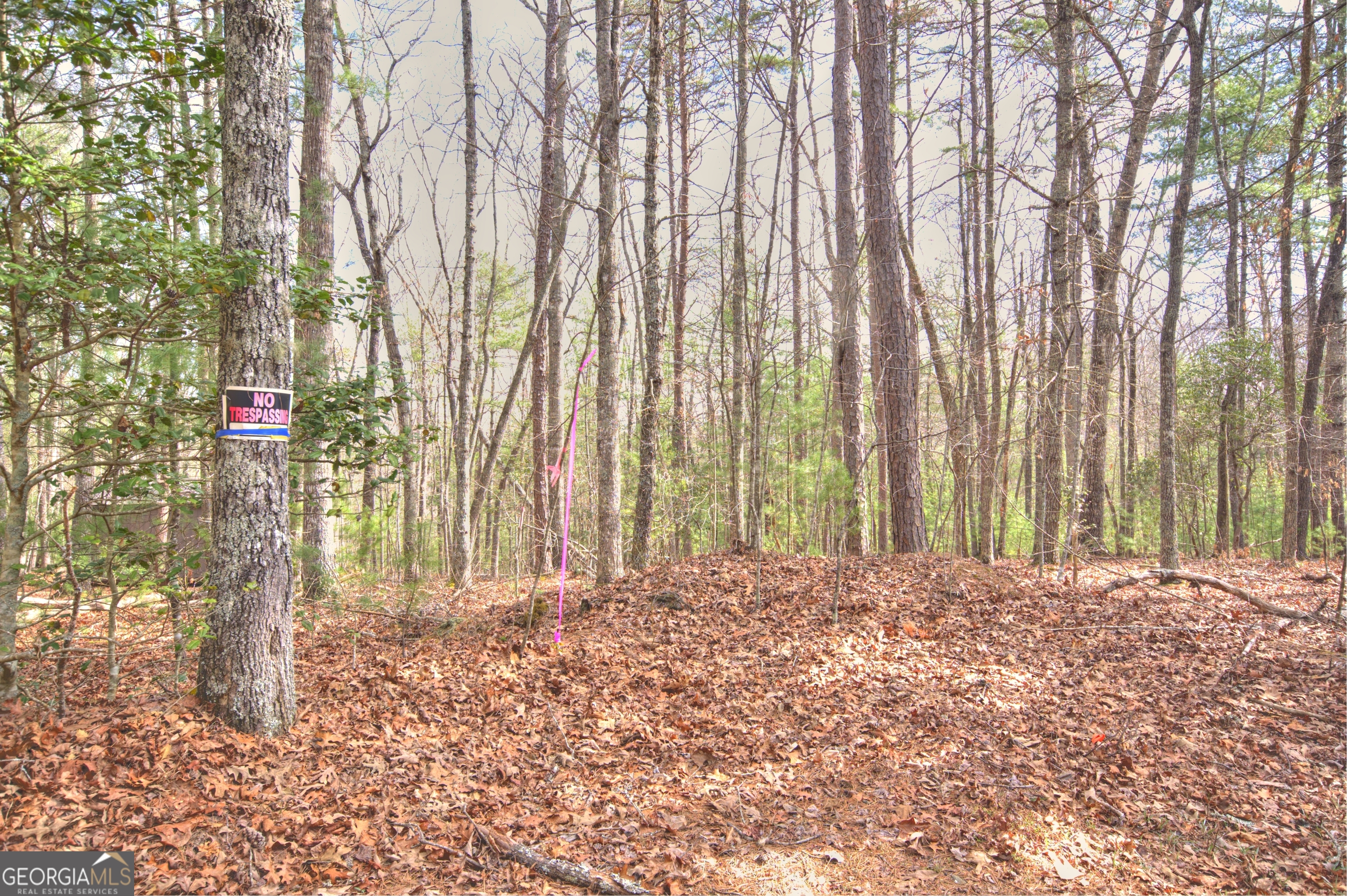 Lot 12 Deer Forest Property Photo 5
