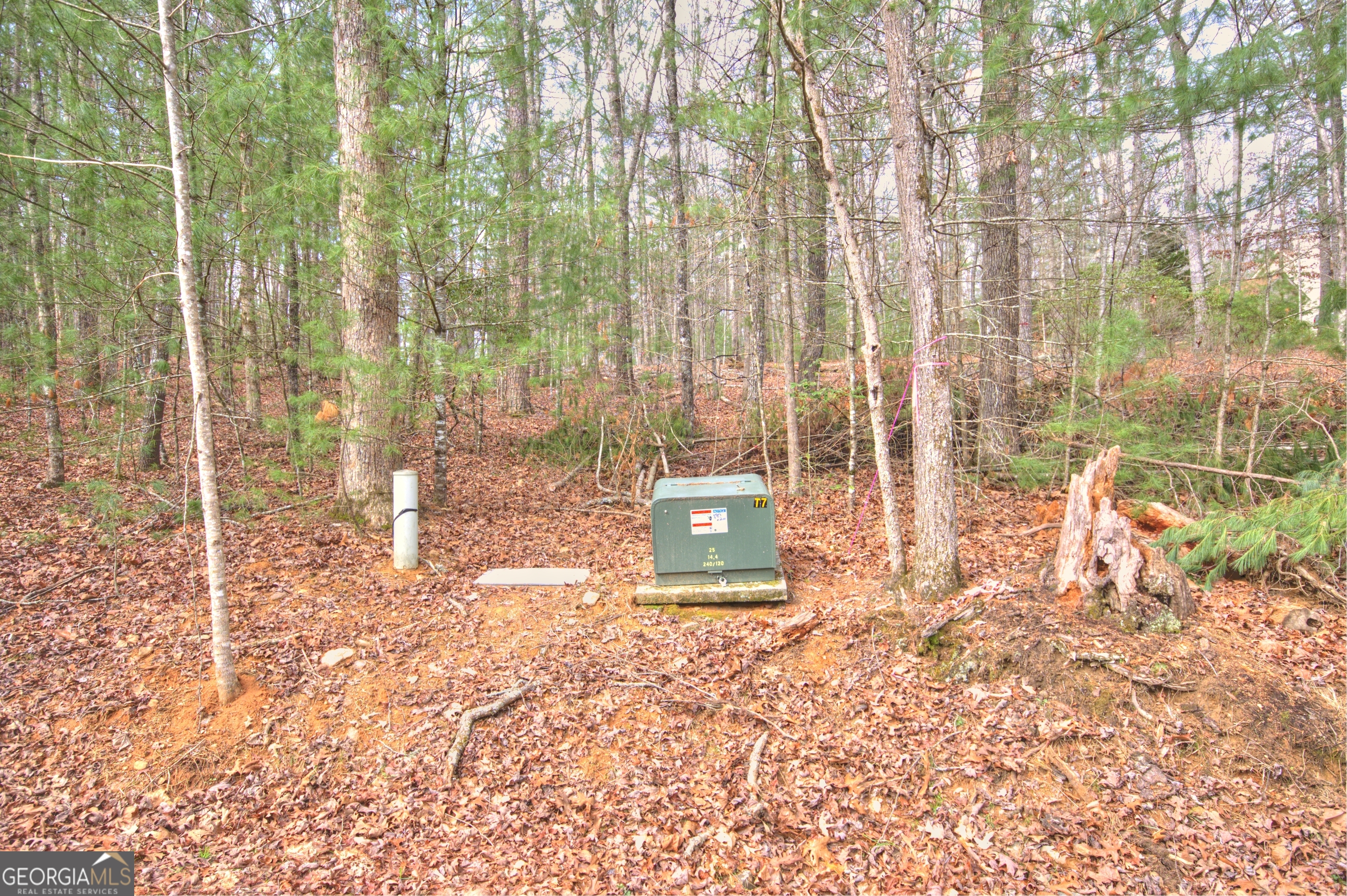 Lot 12 Deer Forest Property Photo 6
