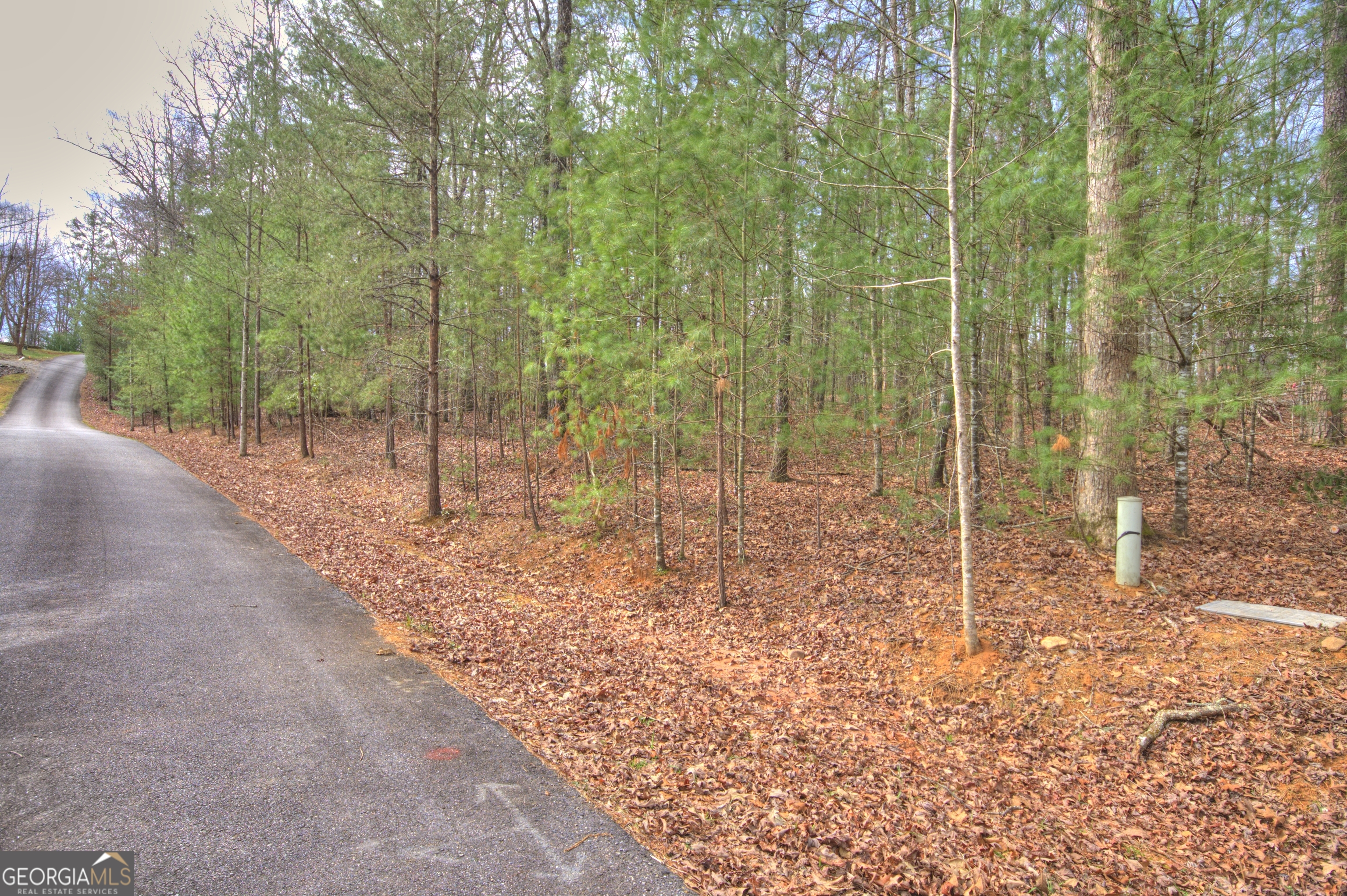 Lot 12 Deer Forest Property Photo 7