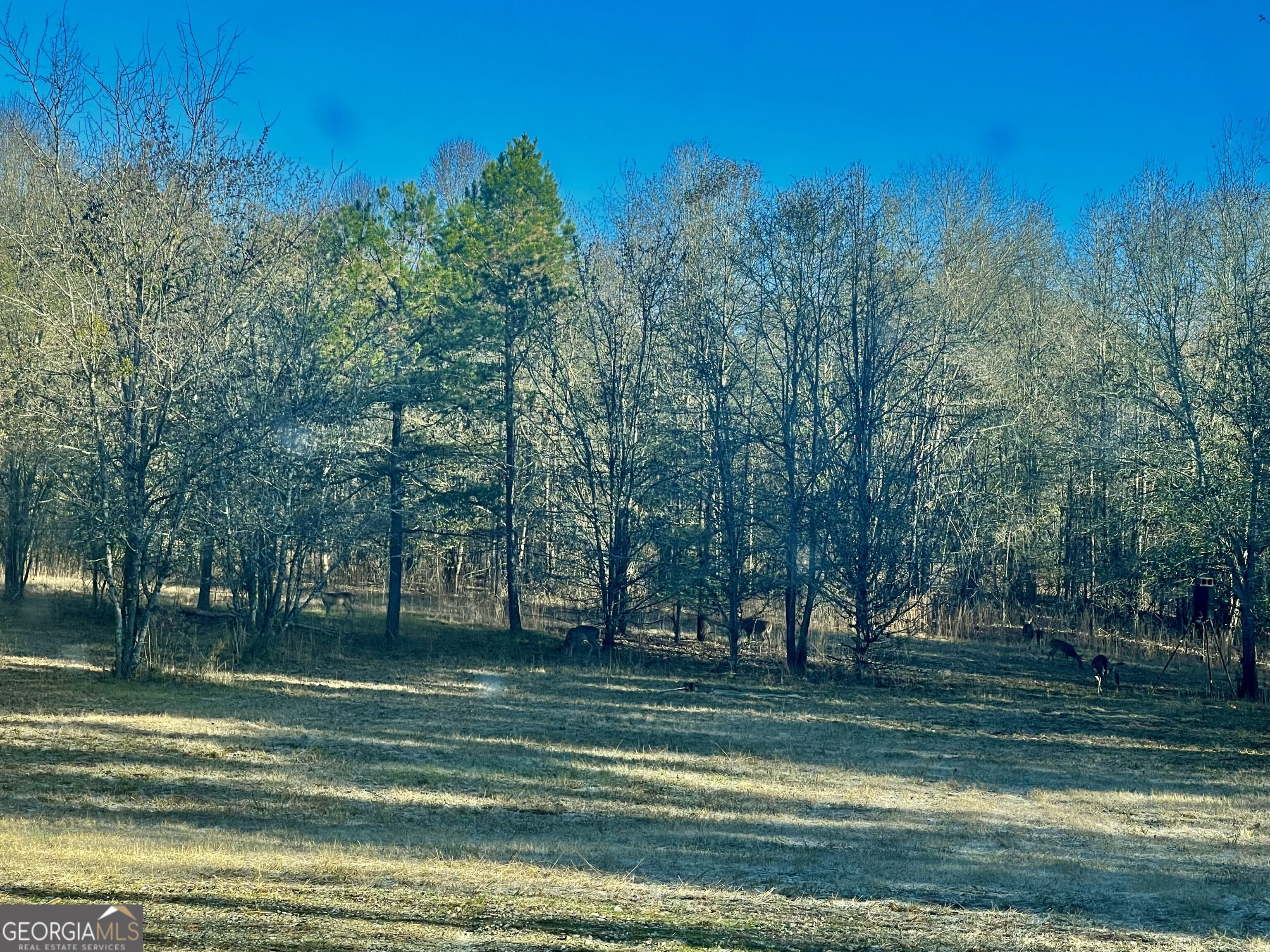 1072 Ford Road Property Photo 1