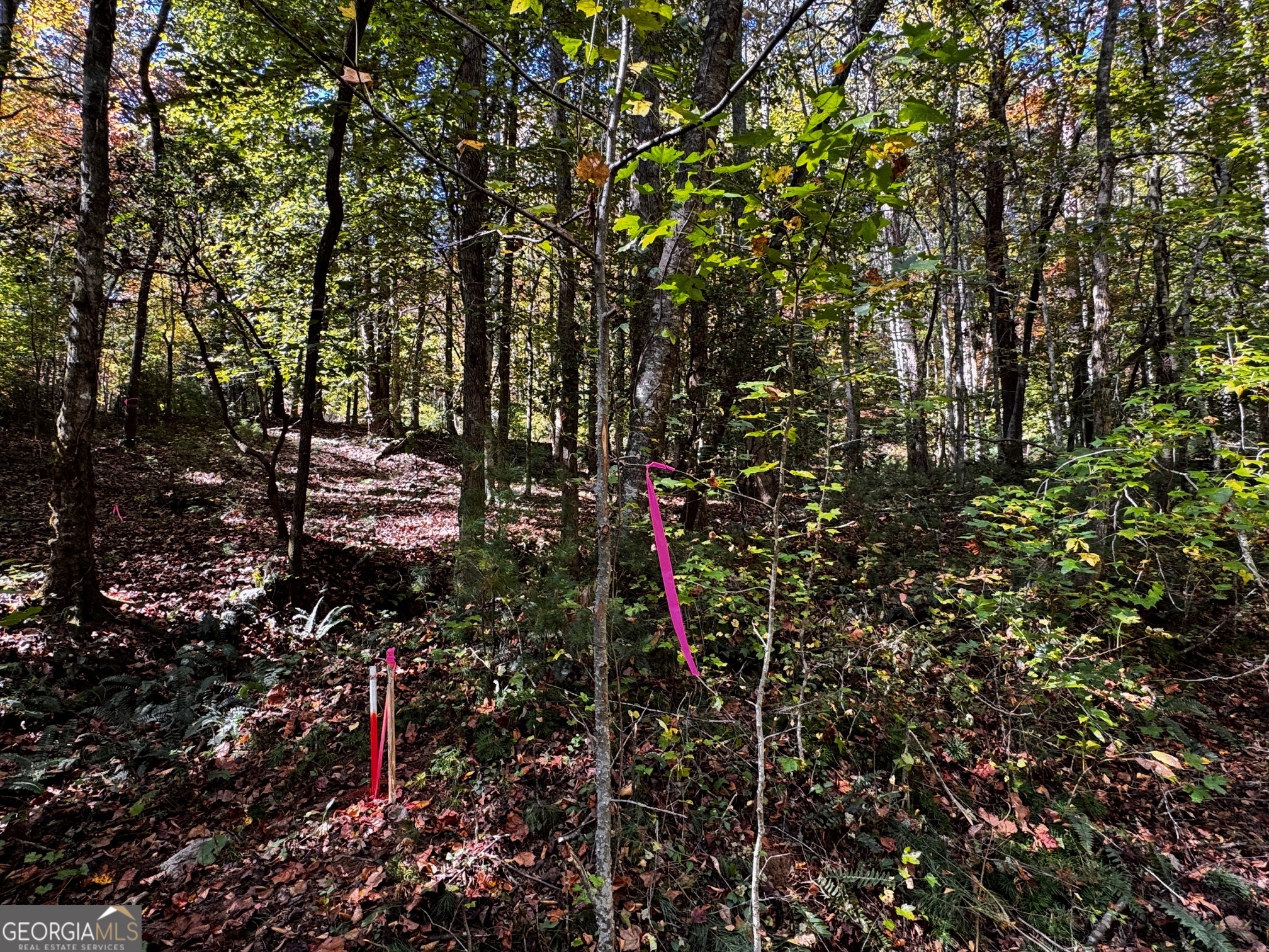 6x Laurelwood Property Photo 3