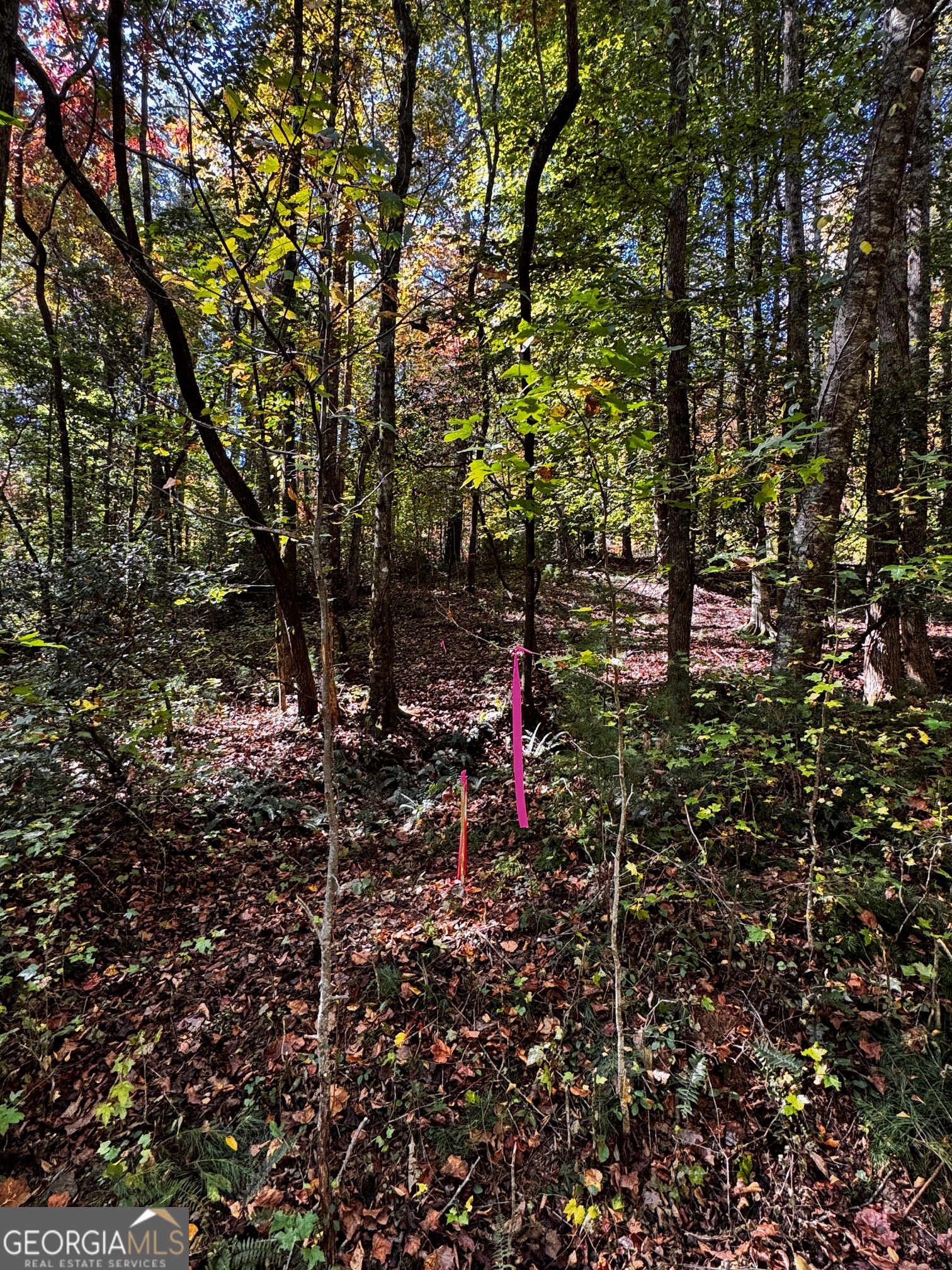 6x Laurelwood Property Photo 4