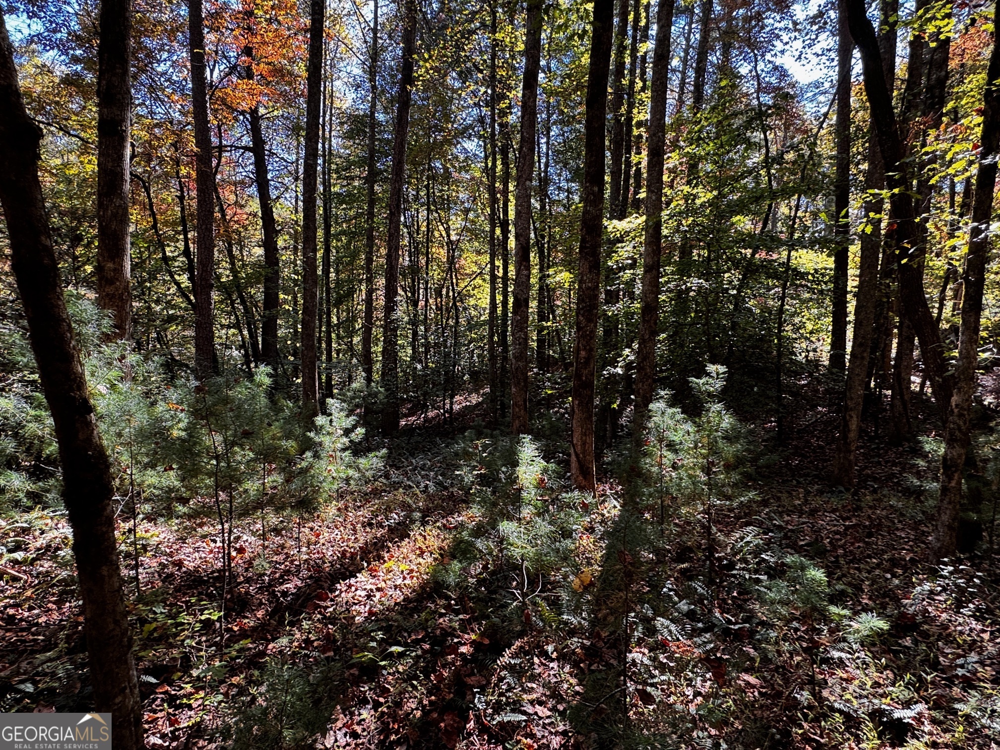 6x Laurelwood Property Photo 5