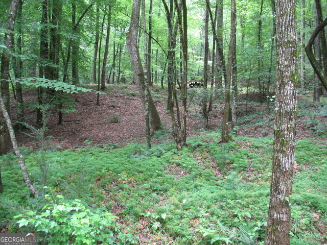 6x Laurelwood Property Photo 18