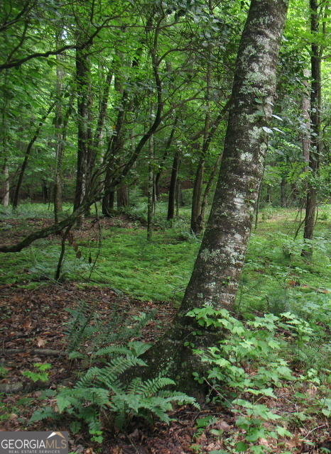 6x Laurelwood Property Photo 19