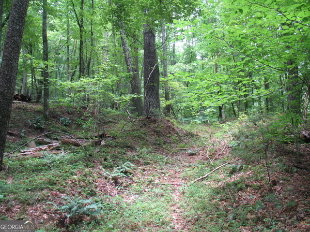 6x Laurelwood Property Photo 20