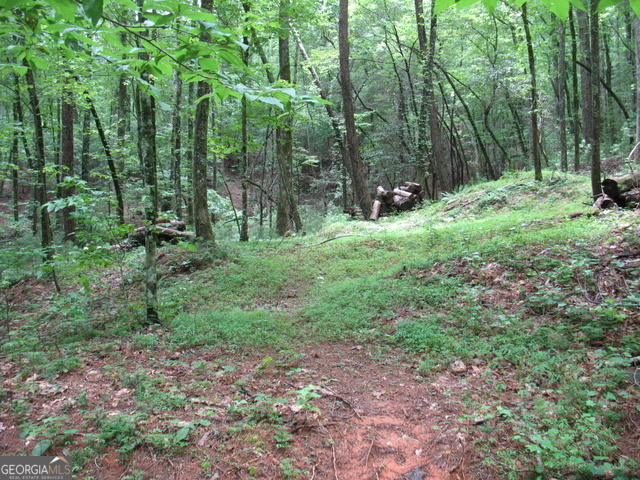 6x Laurelwood Property Photo 21
