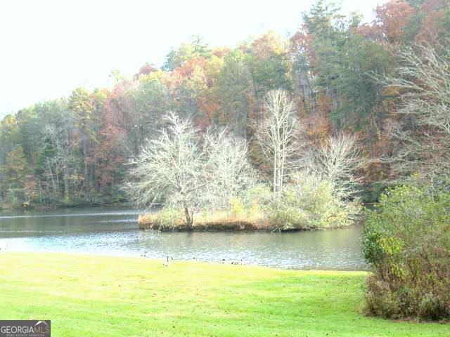 6x Laurelwood Property Photo 29