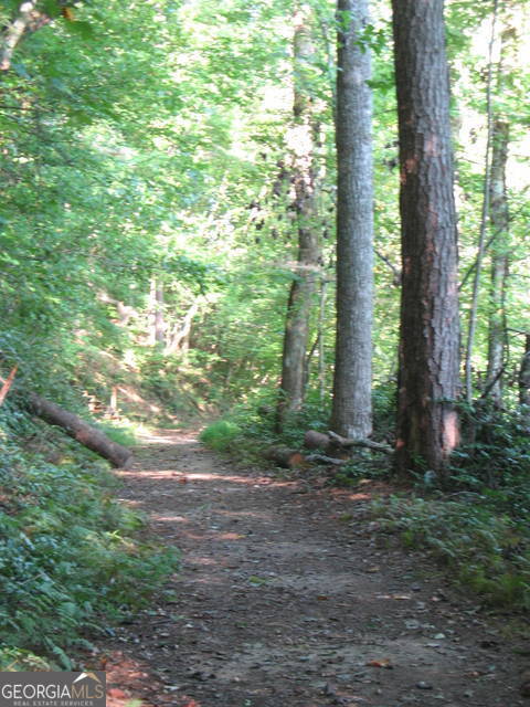 6x Laurelwood Property Photo 38