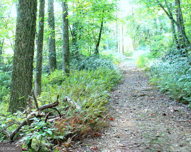 6x Laurelwood Property Photo 40