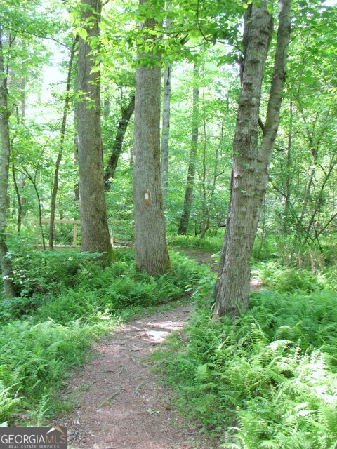 6x Laurelwood Property Photo 43