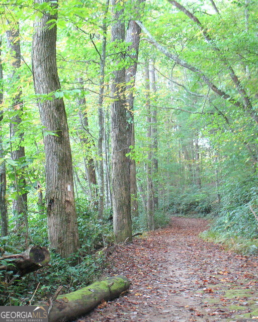 6x Laurelwood Property Photo 44