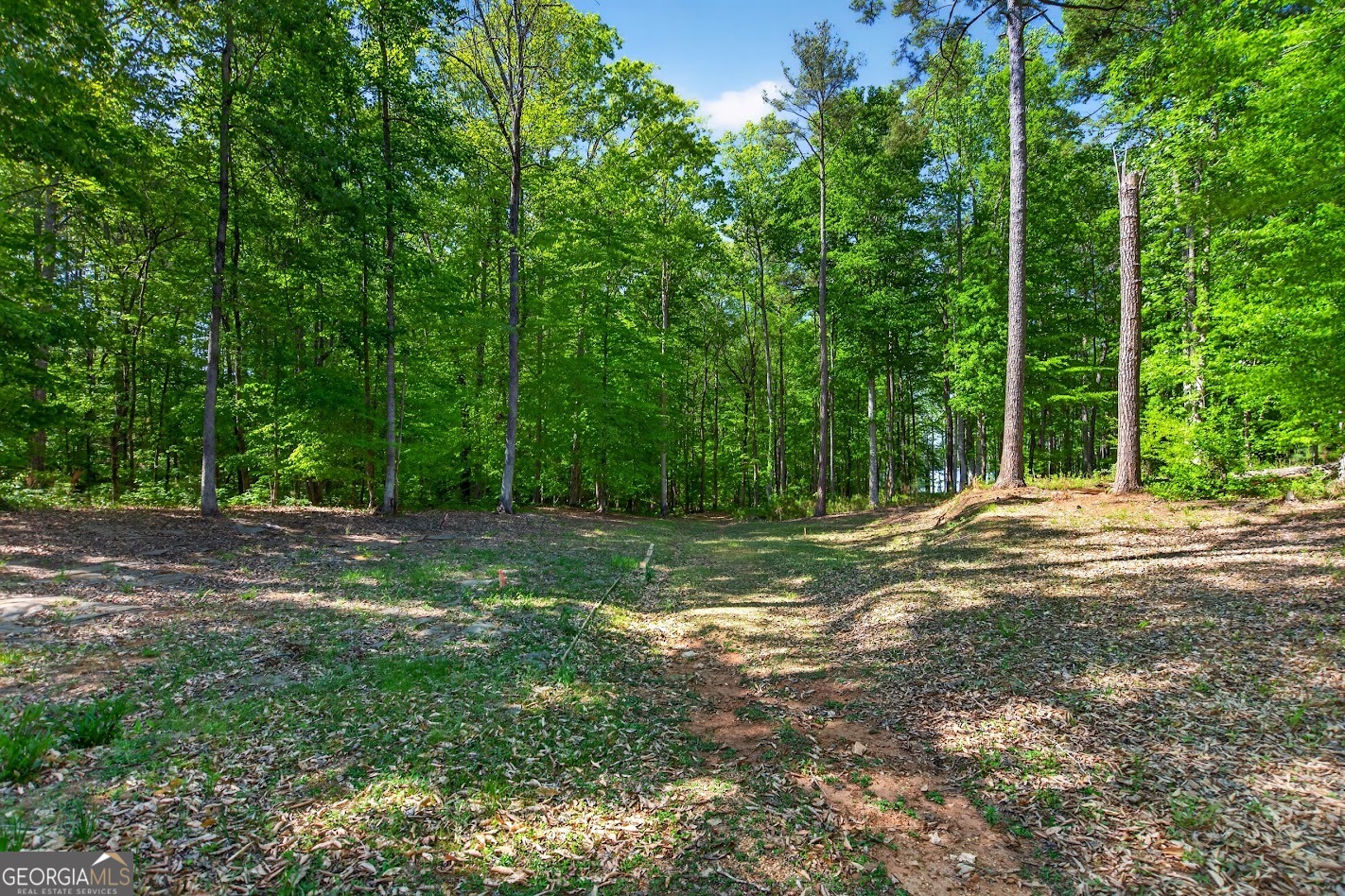 205 River Oaks Drive Property Photo 9