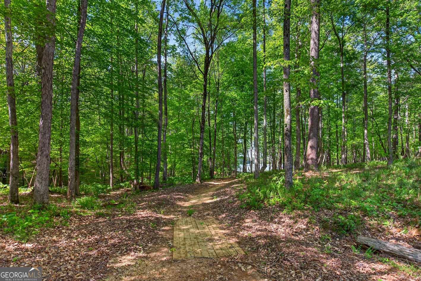 205 River Oaks Drive Property Photo 52