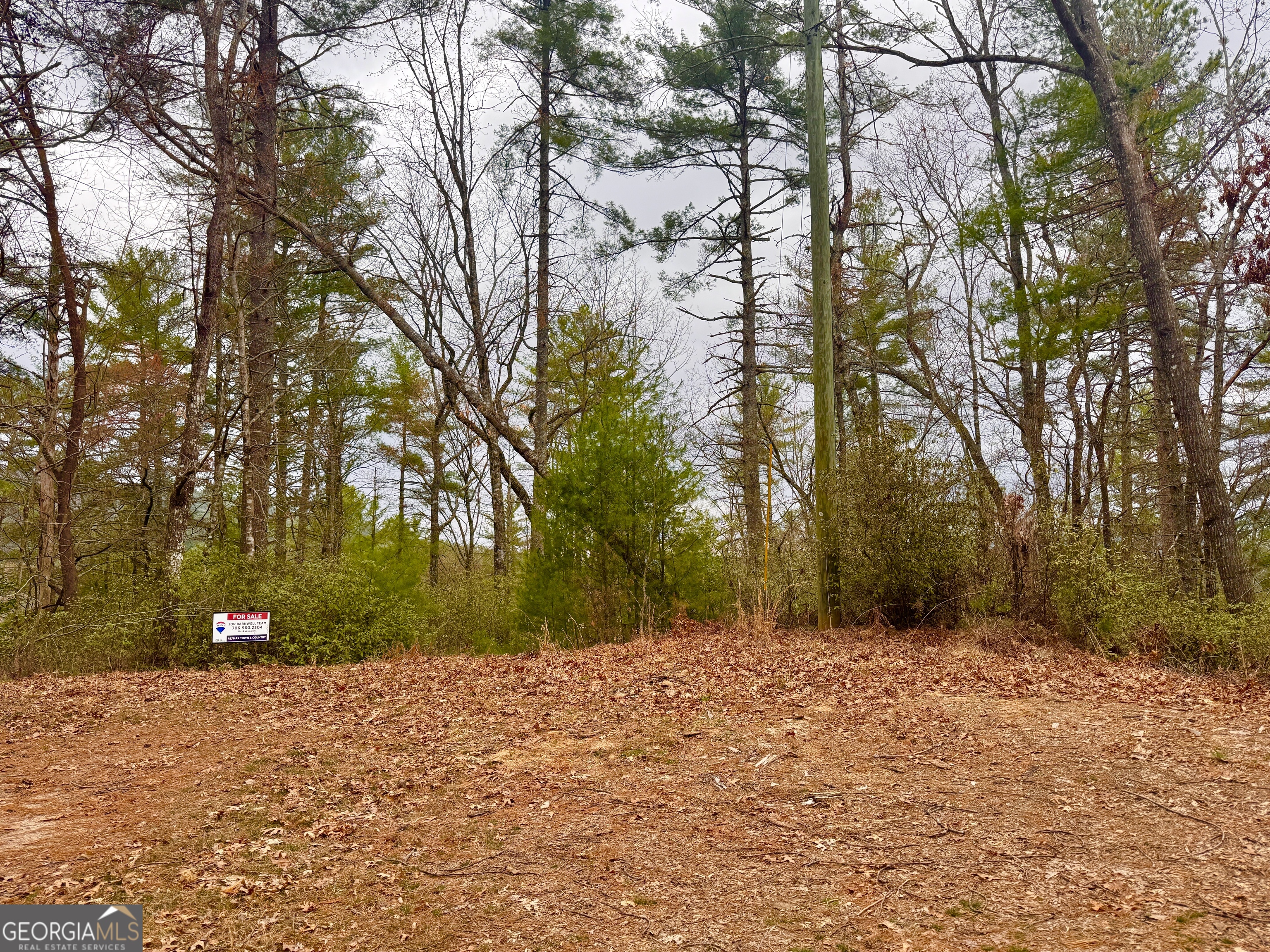 0 Long Mountain Drive Lot 3 Property Photo 1