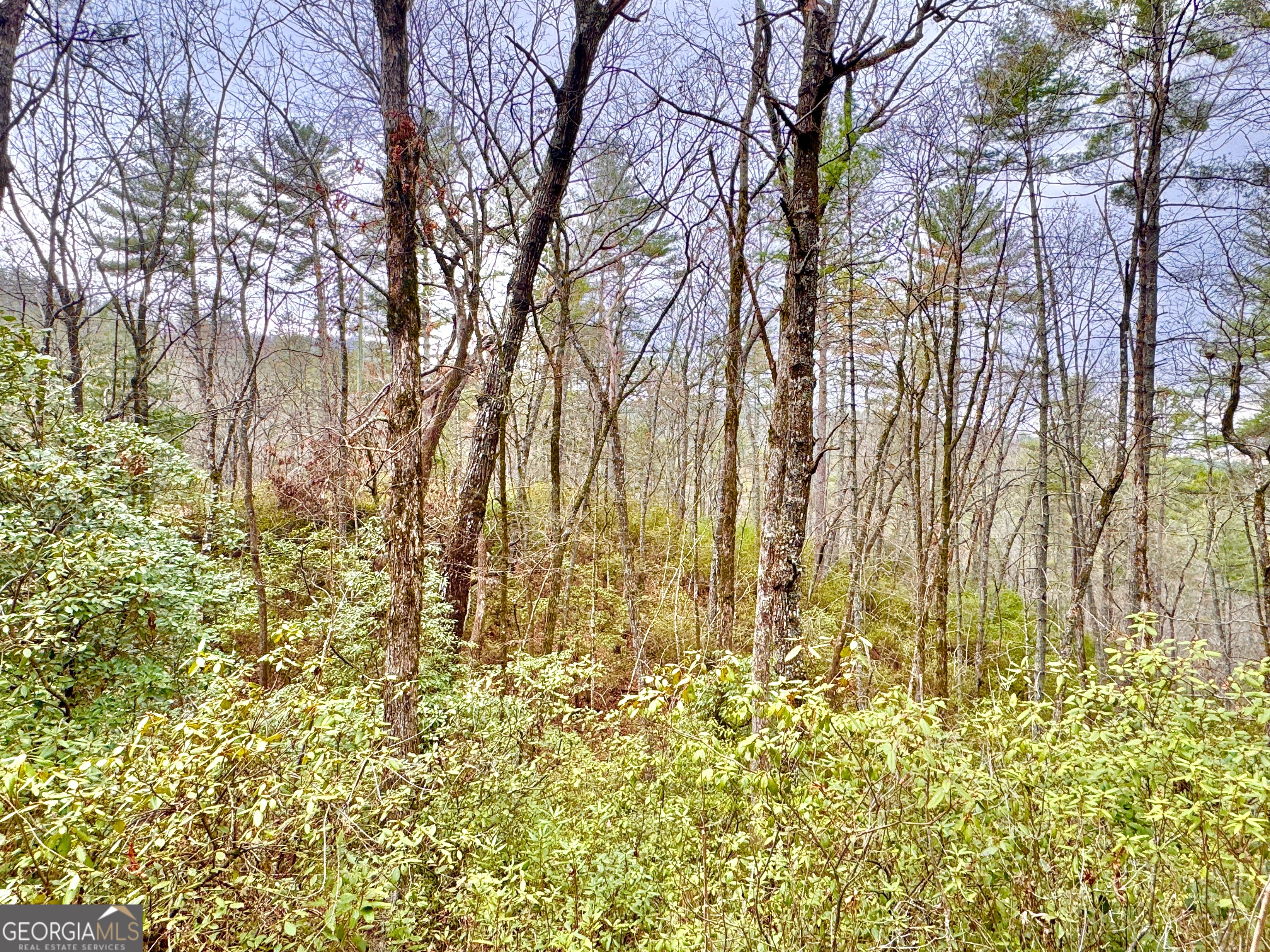 0 Long Mountain Drive Lot 3 Property Photo 4