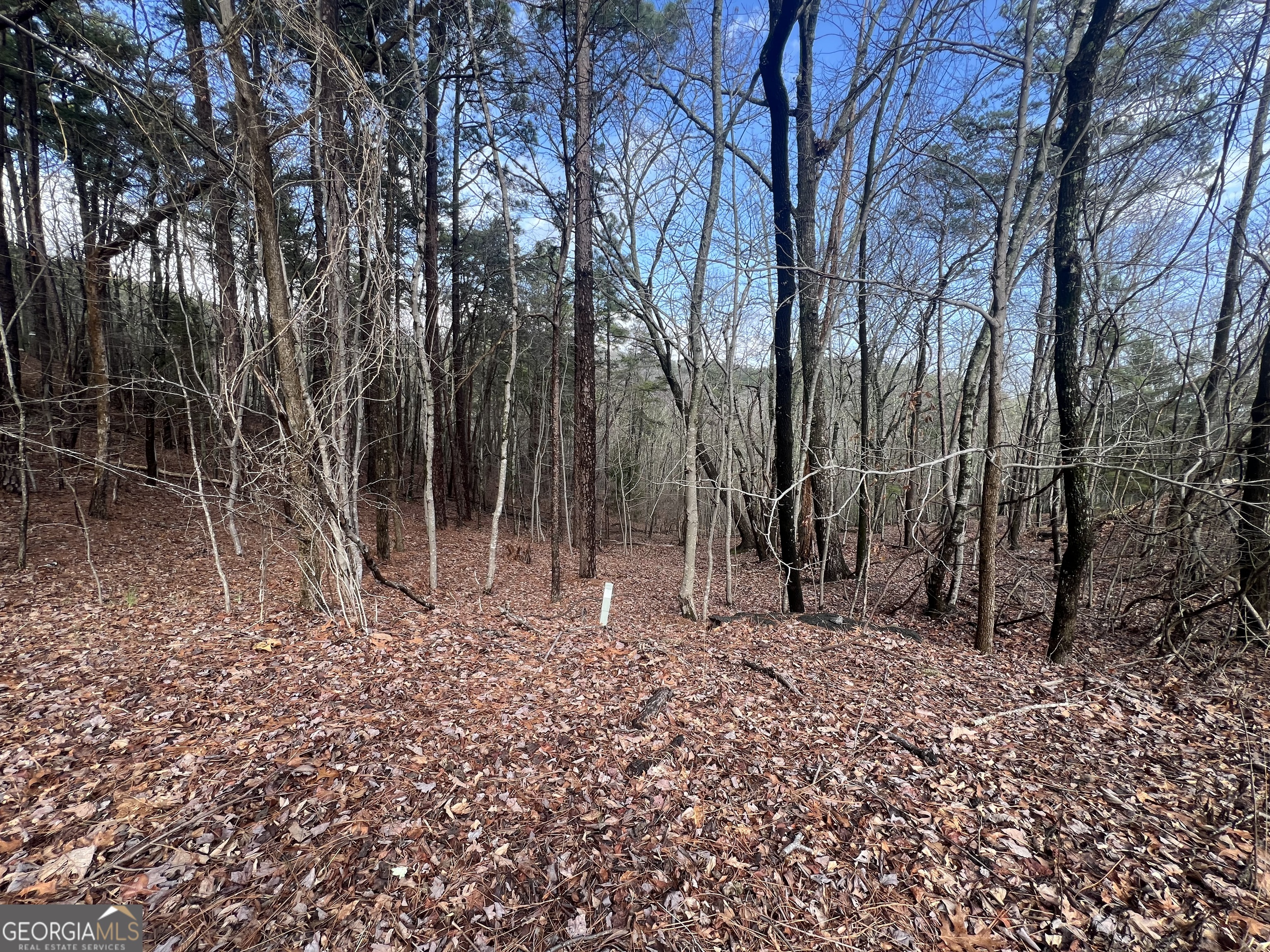 0 Spring Ridge Trail Property Photo 1