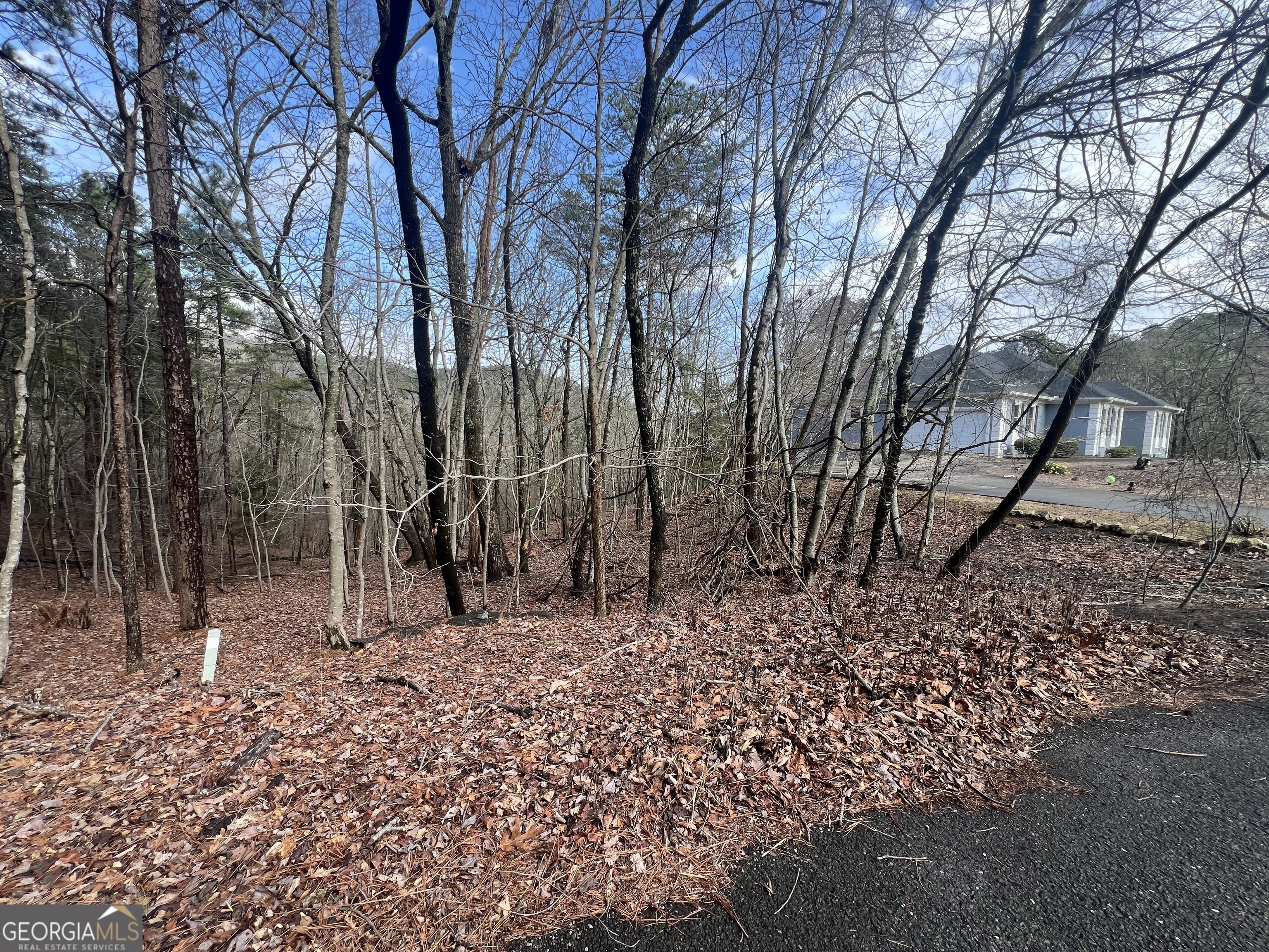 0 Spring Ridge Trail Property Photo 2