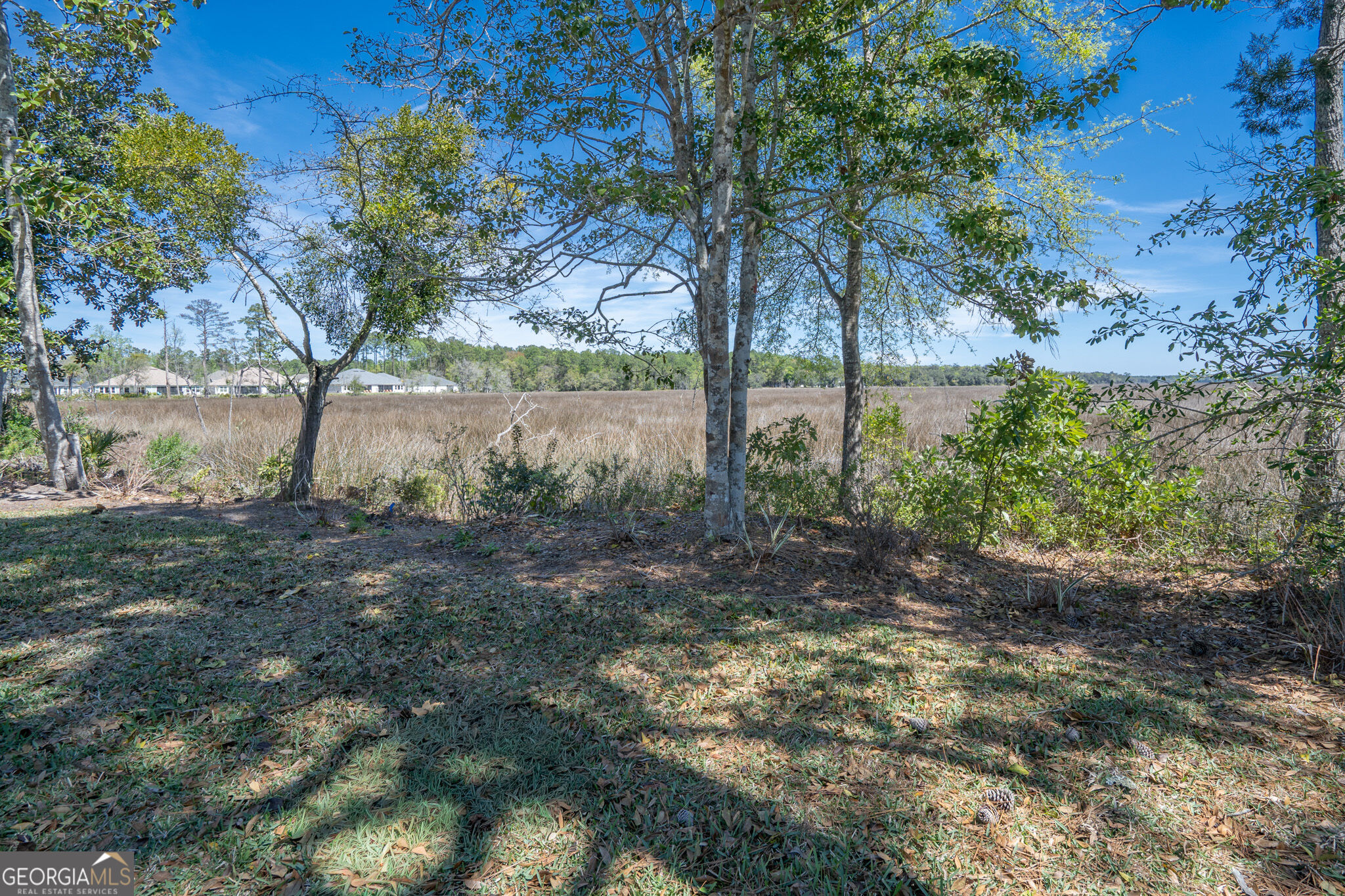 103 Carrington Court Property Photo 50