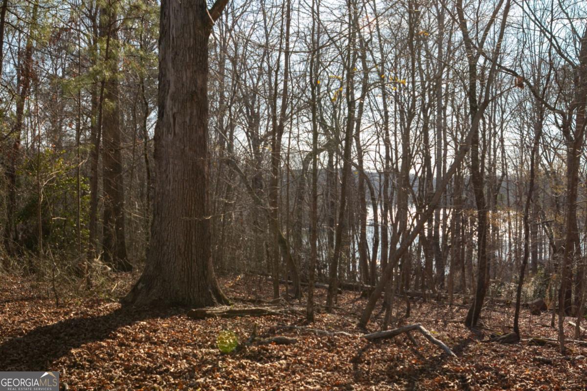 6212 Autumn Hill Court Property Photo 5