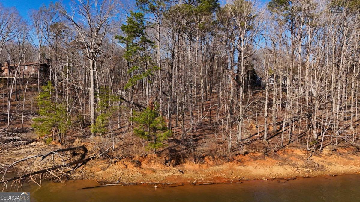 6212 Autumn Hill Court Property Photo 6