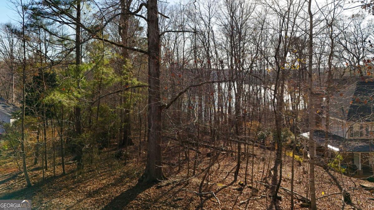 6212 Autumn Hill Court Property Photo 7