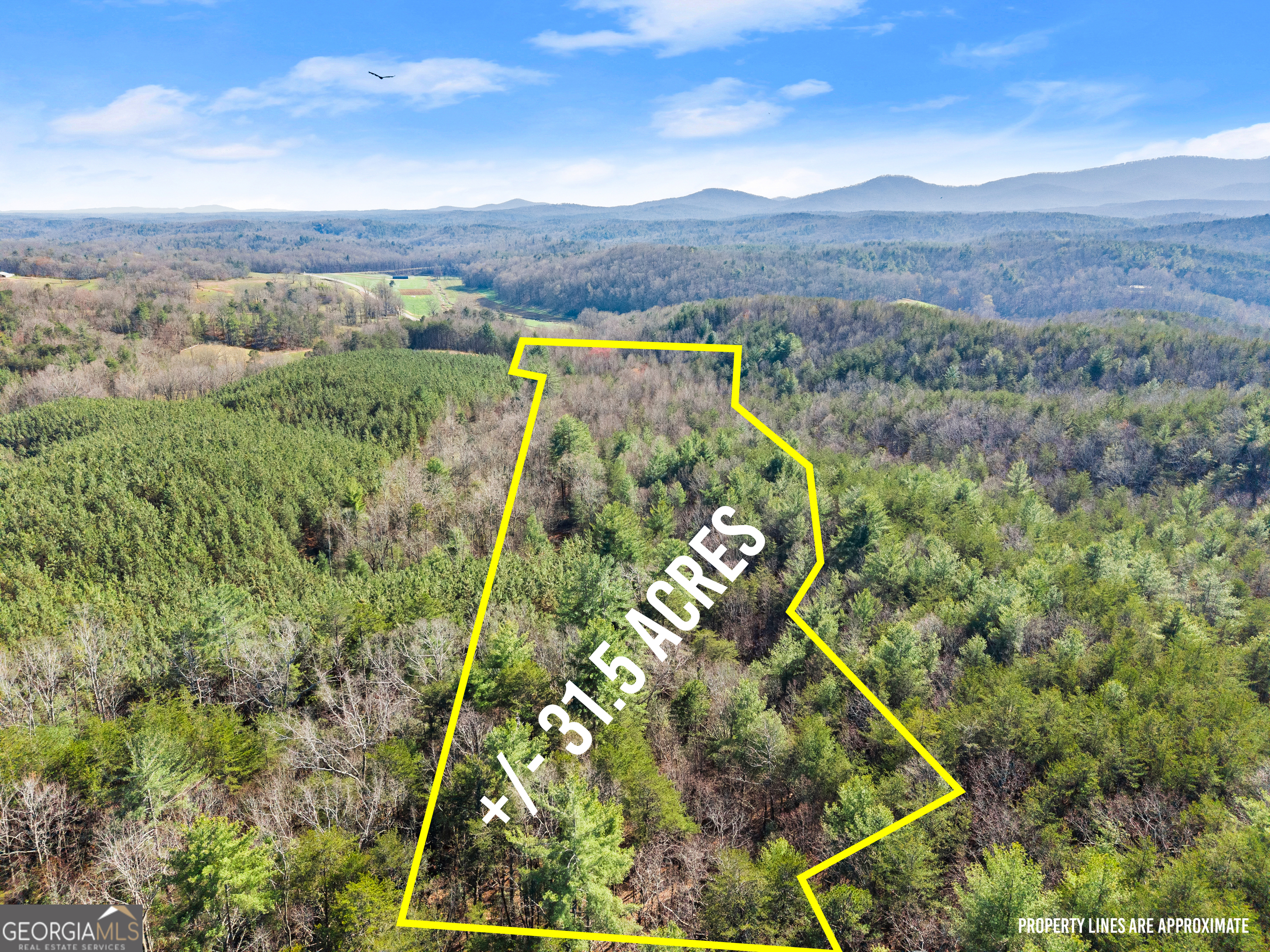 0 Elliott Family Parkway Property Photo 6