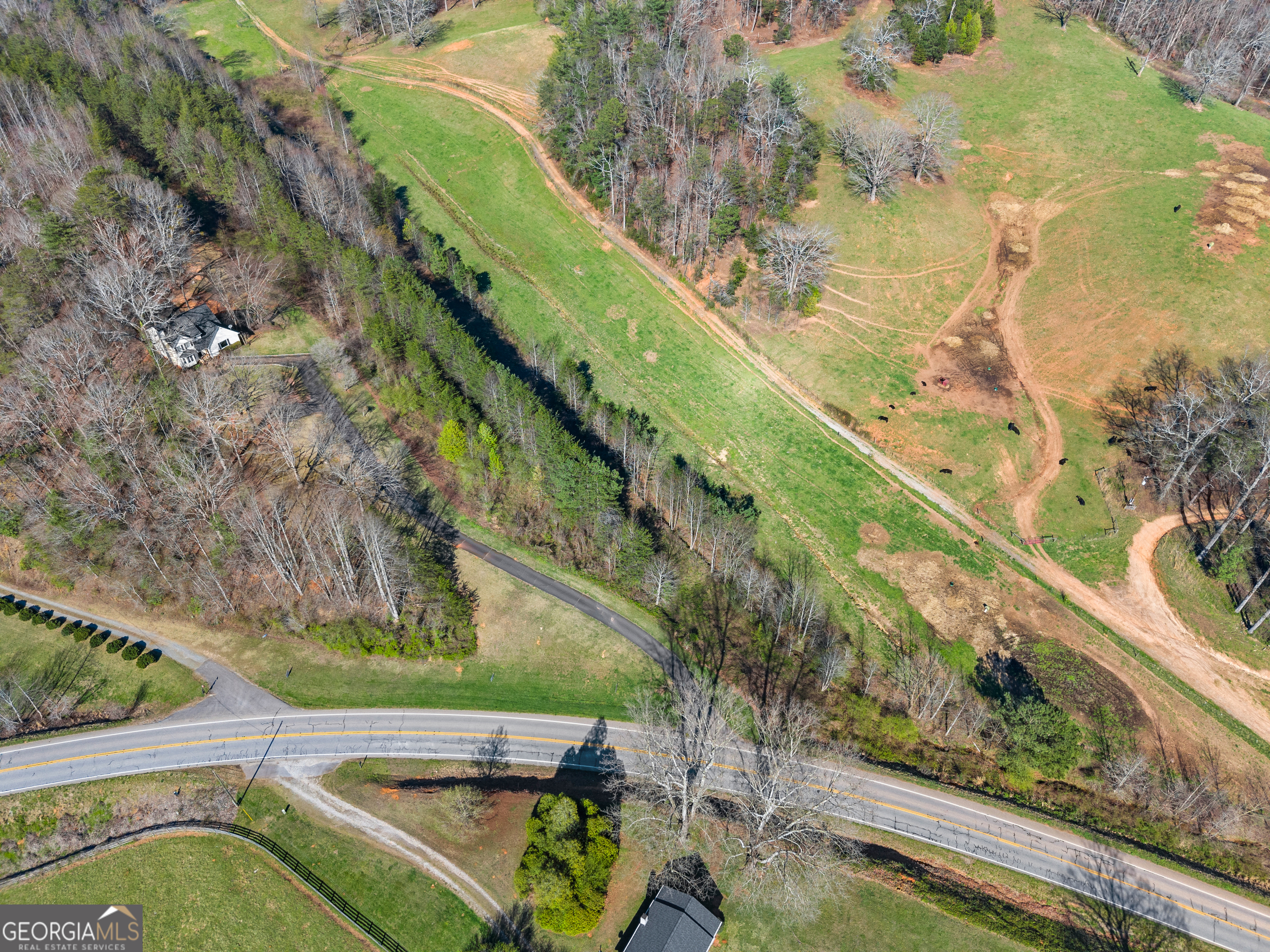 0 Elliott Family Parkway Property Photo 16