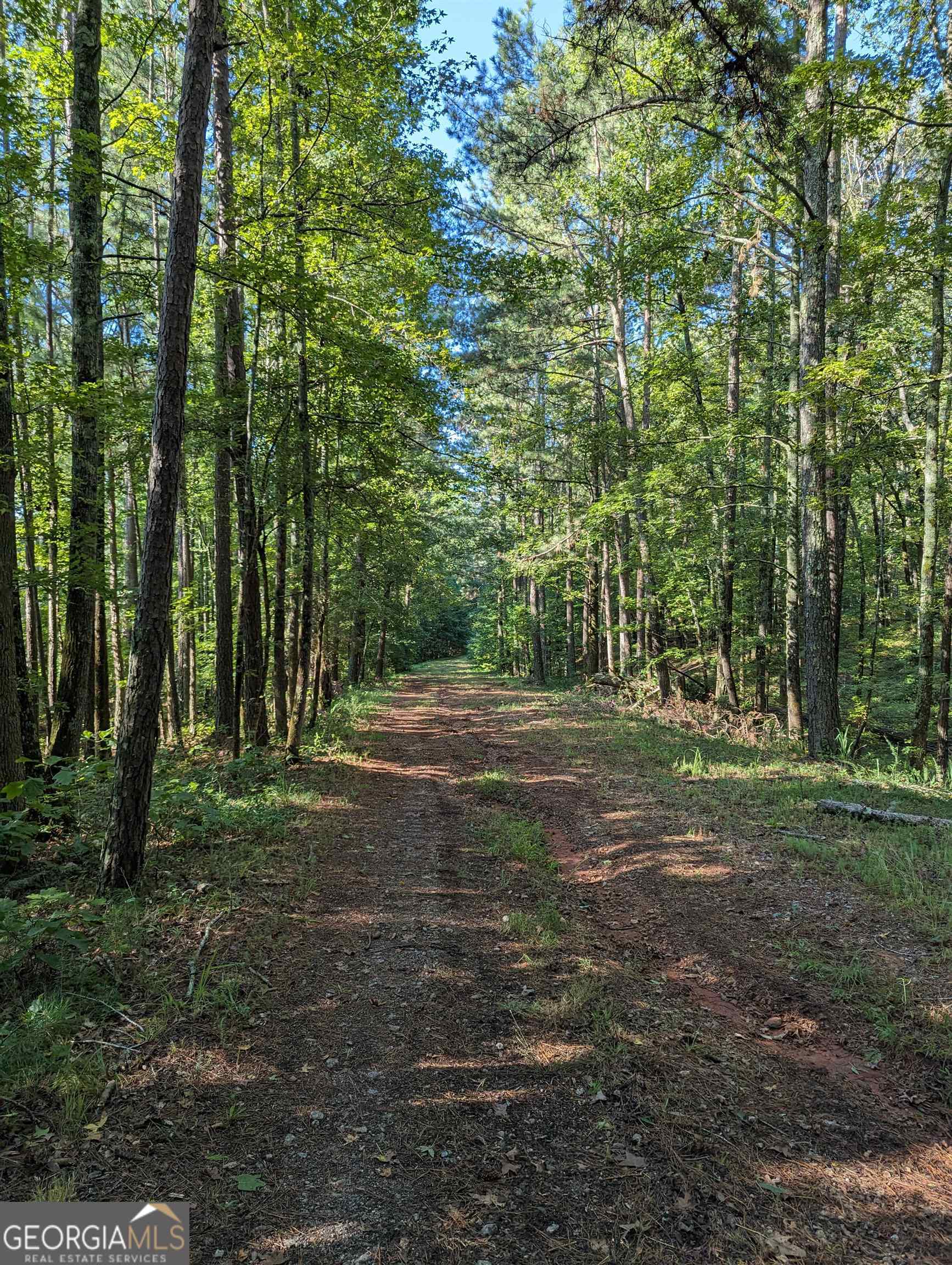 Lot 3 Joe Roberts Road Property Photo 4