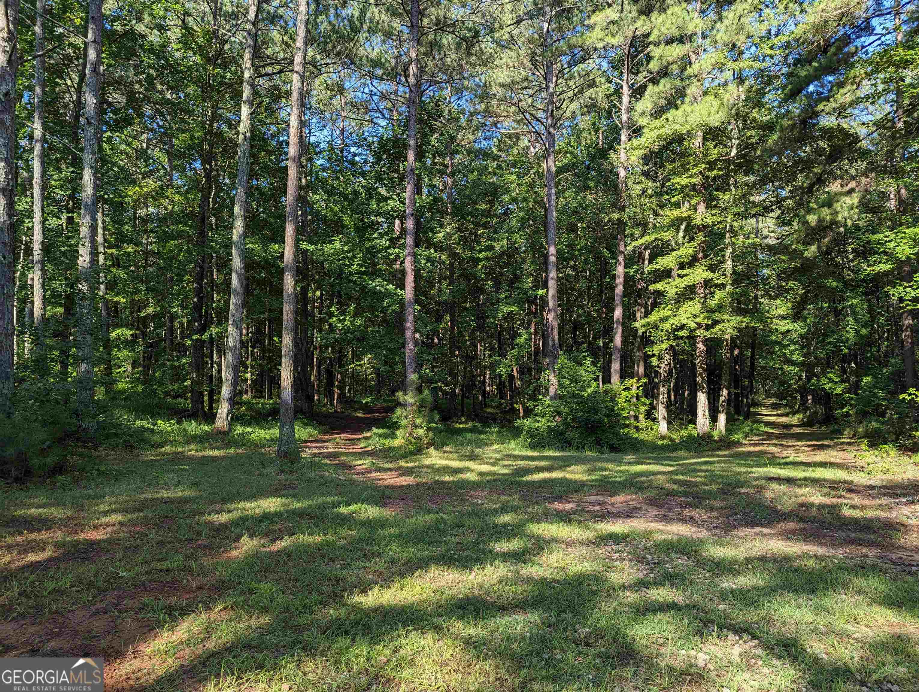 Lot 3 Joe Roberts Road Property Photo 5