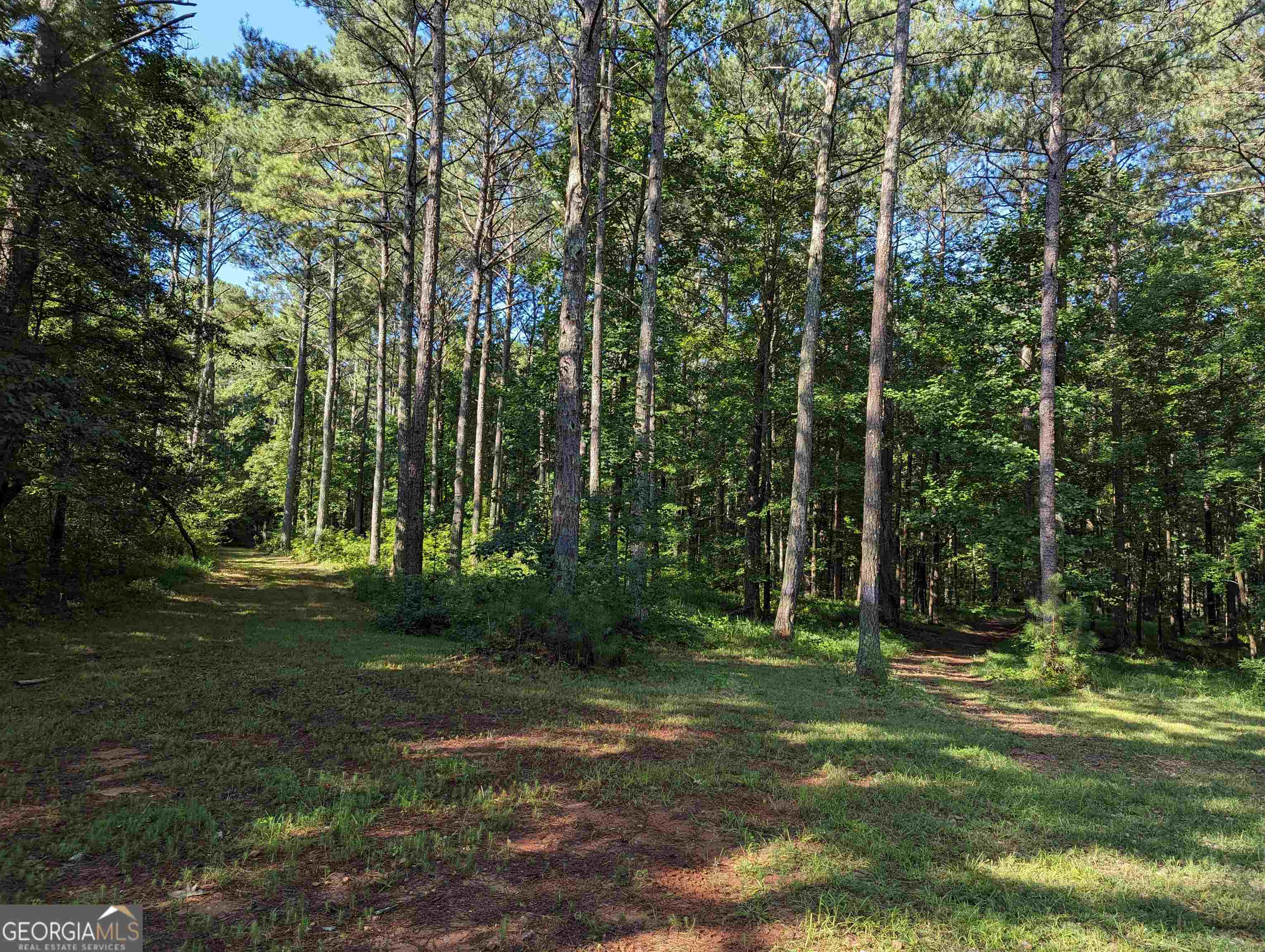 Lot 3 Joe Roberts Road Property Photo 6
