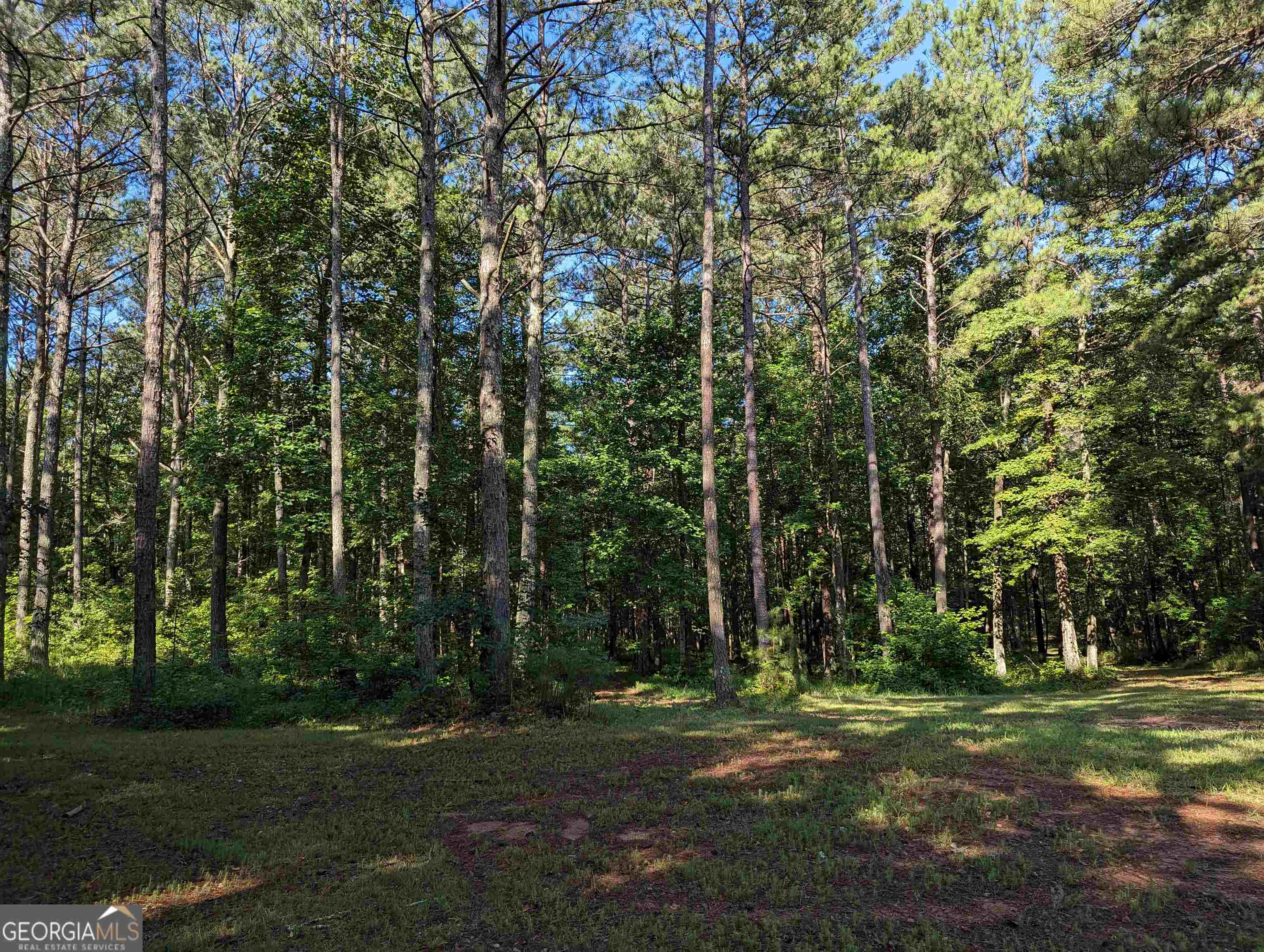 Lot 3 Joe Roberts Road Property Photo 7